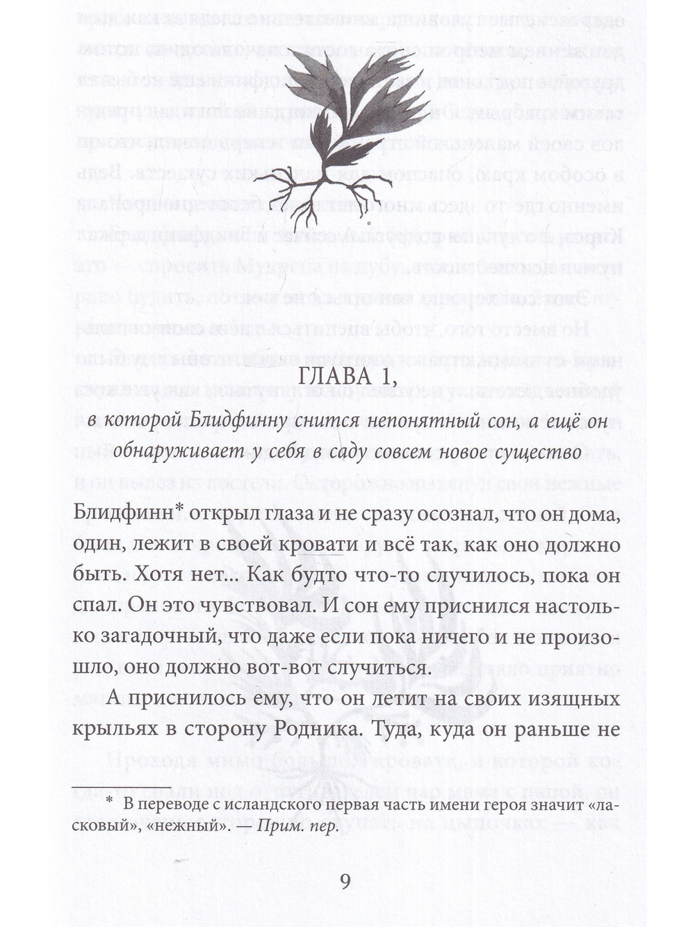 Блидфинн. Четыре путешествия в неизвестность