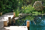 The Gardener`s Palette: Creating Colour Harmony in the Garden