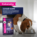 Eukanuba паучи для щенков от 1 до 12 месяцев всех пород из курицы в соусе 85 г