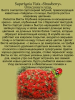 Петуния Клубника Супертуния Виста Строббери
