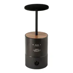 RAAL-Requisite 1995 Immanis