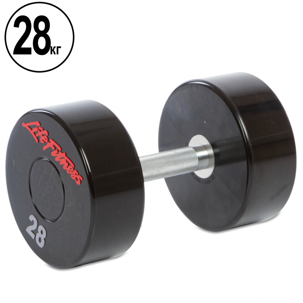 Life Fitness гантель цельная профессиональная 28 кг пара