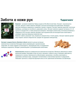 Средство для мытья посуды TupperClean+Салфетка универсальная, 2 шт.