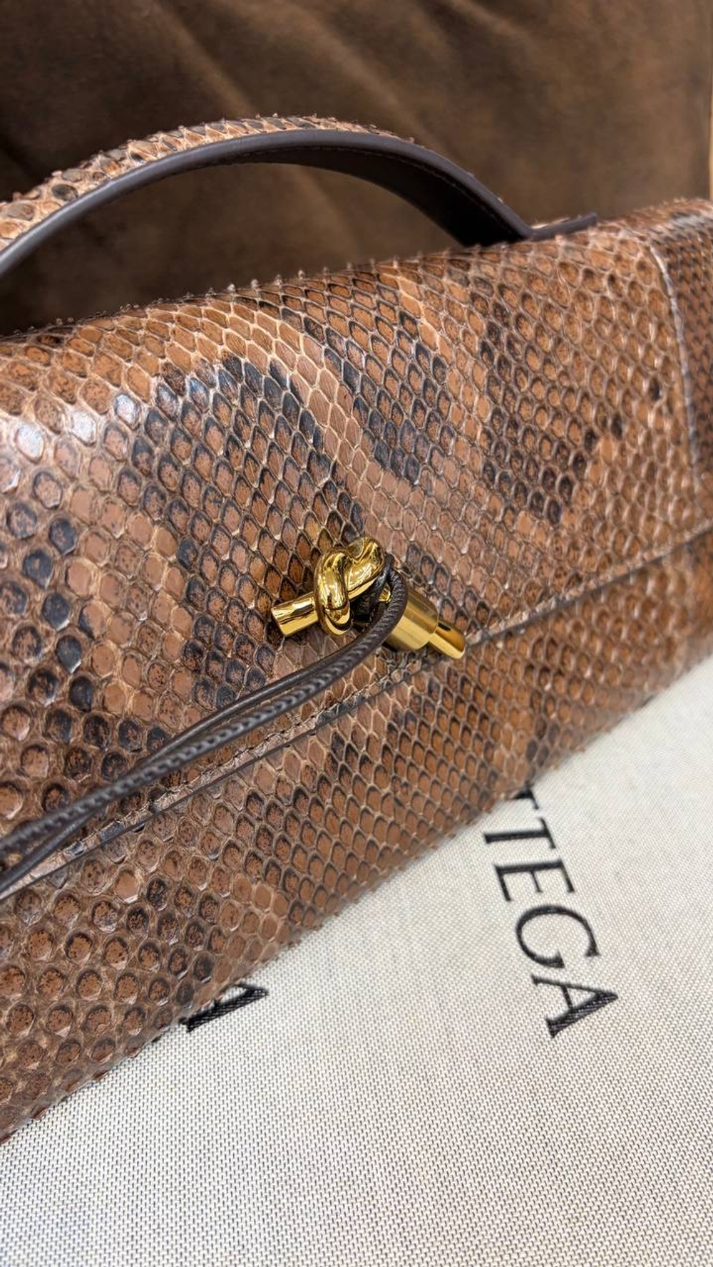Клатч-Сумка Bottega Veneta Andiamo из кожи Питона