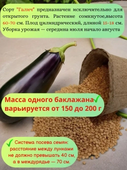 Семена Баклажан набор