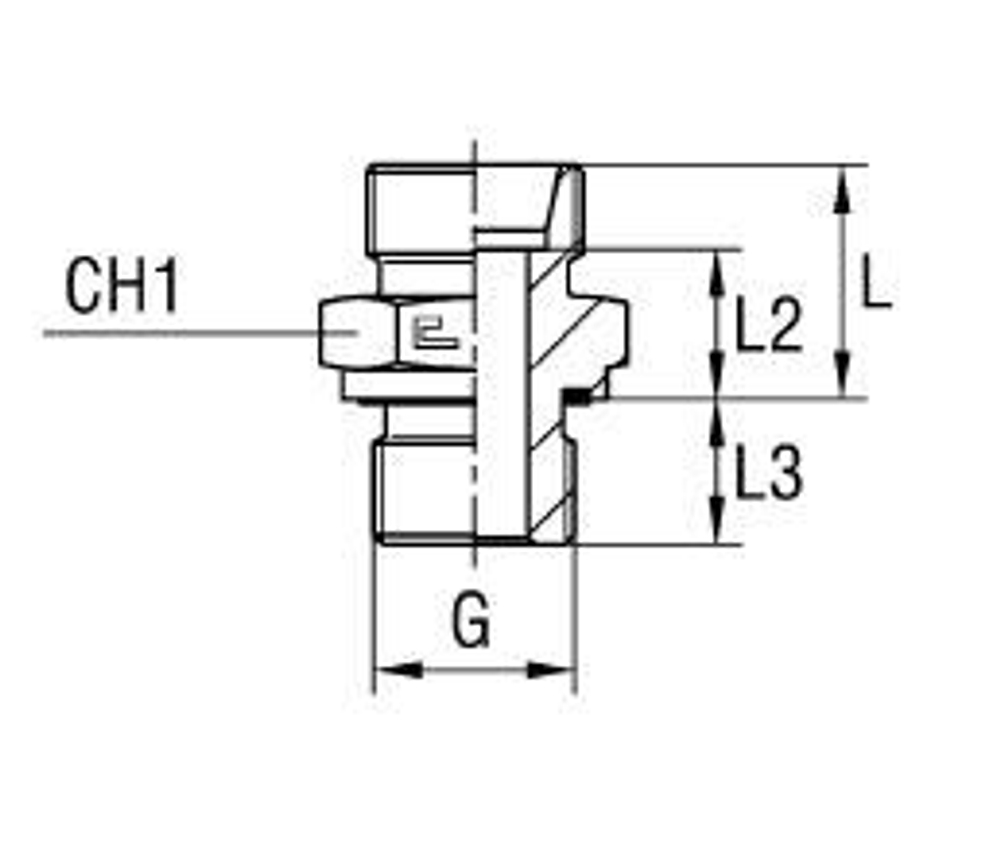Штуцер FE DS25 BSP 1 (корпус)