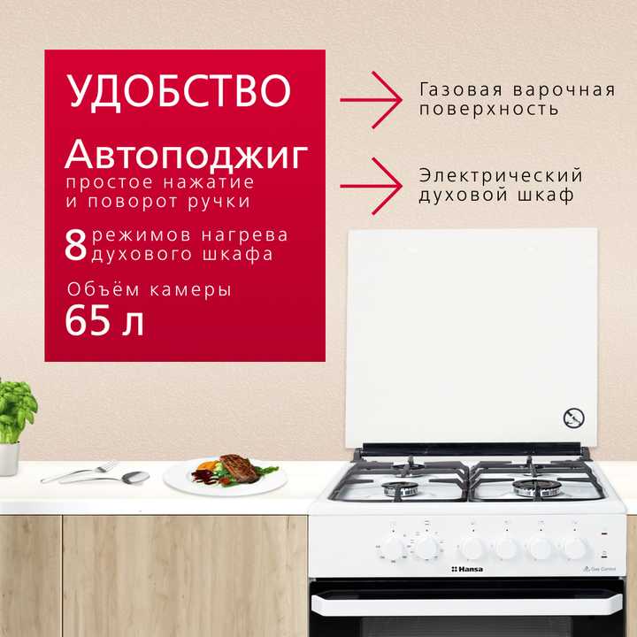 Комбинированная плита Hansa FCMW680231A