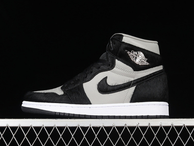 Jordan 1 Retro High OG Twist 2.0