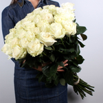 Роза Эквадор
