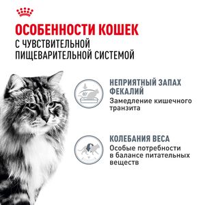 Пауч Royal Canin Digestive Care для взрослых кошек с чувствительным пищеварением, тонкие ломтики в соусе