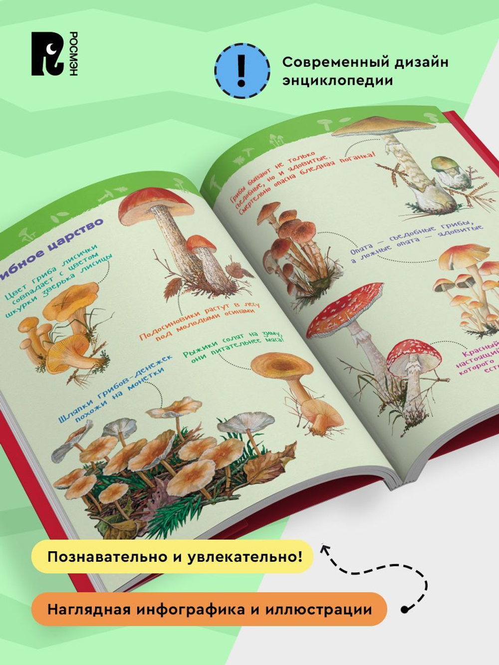 В лесу (Энциклопедия для детского сада)