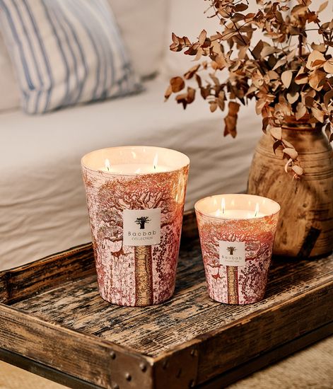 Woroba, свеча MAX 10 Sacred Trees collection, Baobab Collection