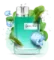 ELFBAR CR8000 - Sea Breeze Mint (5% nic)