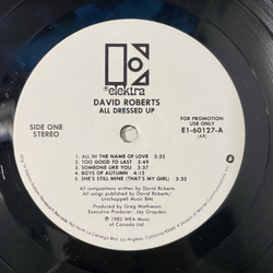 Винтажная виниловая пластинка LP David Roberts, All Dressed Up (Канада 1982)