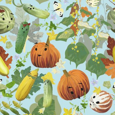 Семейство тыквенных Pumpkin family