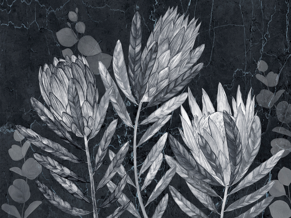 HERBARIUM 19