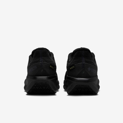 Кроссовки женские NIKE W AIR WINFLO 11 GTX