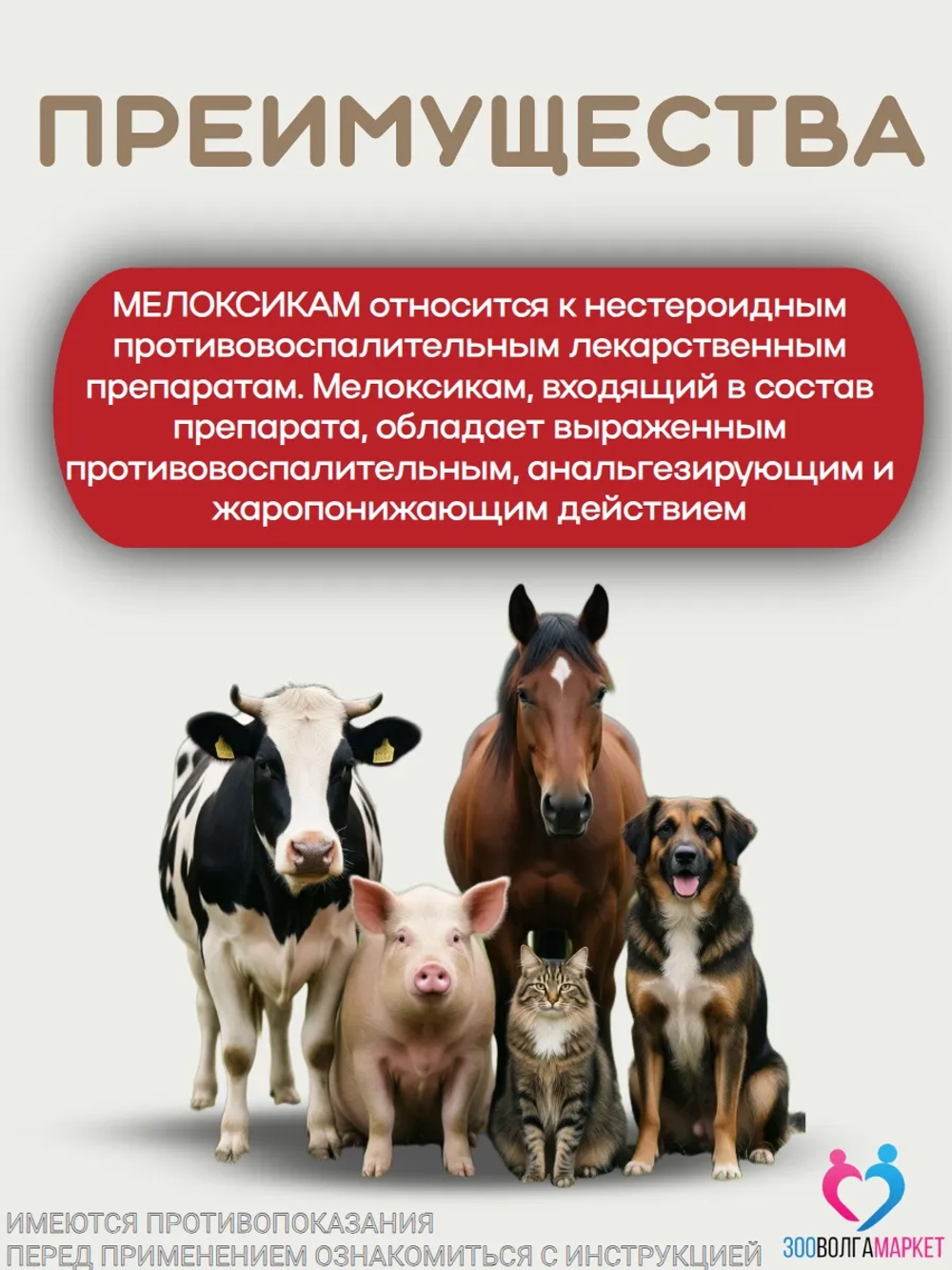 Мелоксикам противовоспалительный растров для кошек и собак