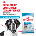 Royal Canin Giant Junior Джайнт Юниор Корм сухой для щенков очень крупных пород возраст от 8 до 18/24 месяцев 3,5кг