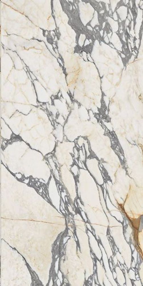 Керамогранит EPOQUE 21 ARABESCATO ANT R (PF60009341)