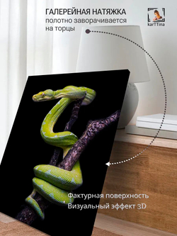 Картина "Зеленый питон", галерейная 30х40см 1шт.
