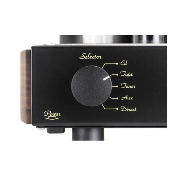 Mastersound Compact 300B Black Wood
