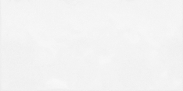 TWU09MNR030 плитка облицовочная рельефная Моноколор / Monocolor 249*500 (11 шт в уп/73,98 м в пал)