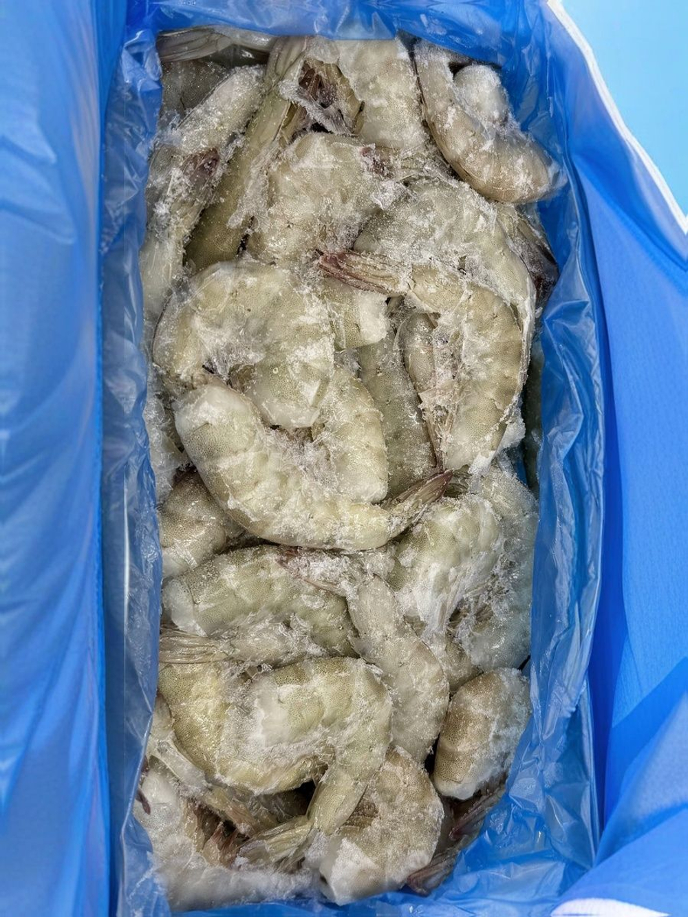 Креветка Королевская коробочка 1.8кг сыро-мороженая без головы 21/25