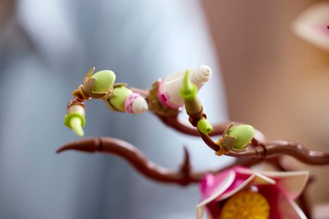 Конструктор LEGO The Botanical Collection 11510 Magnolia Branches