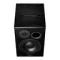 Dynaudio BM 15A R Black
