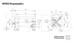 ADNGF-40-250-P-A Пневмоцилиндр