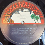Buddy Miles – Bicentennial Gathering Of The Tribes (США 1974г.)