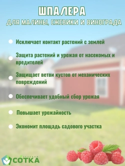Шпалера для малины, ежевики и винограда