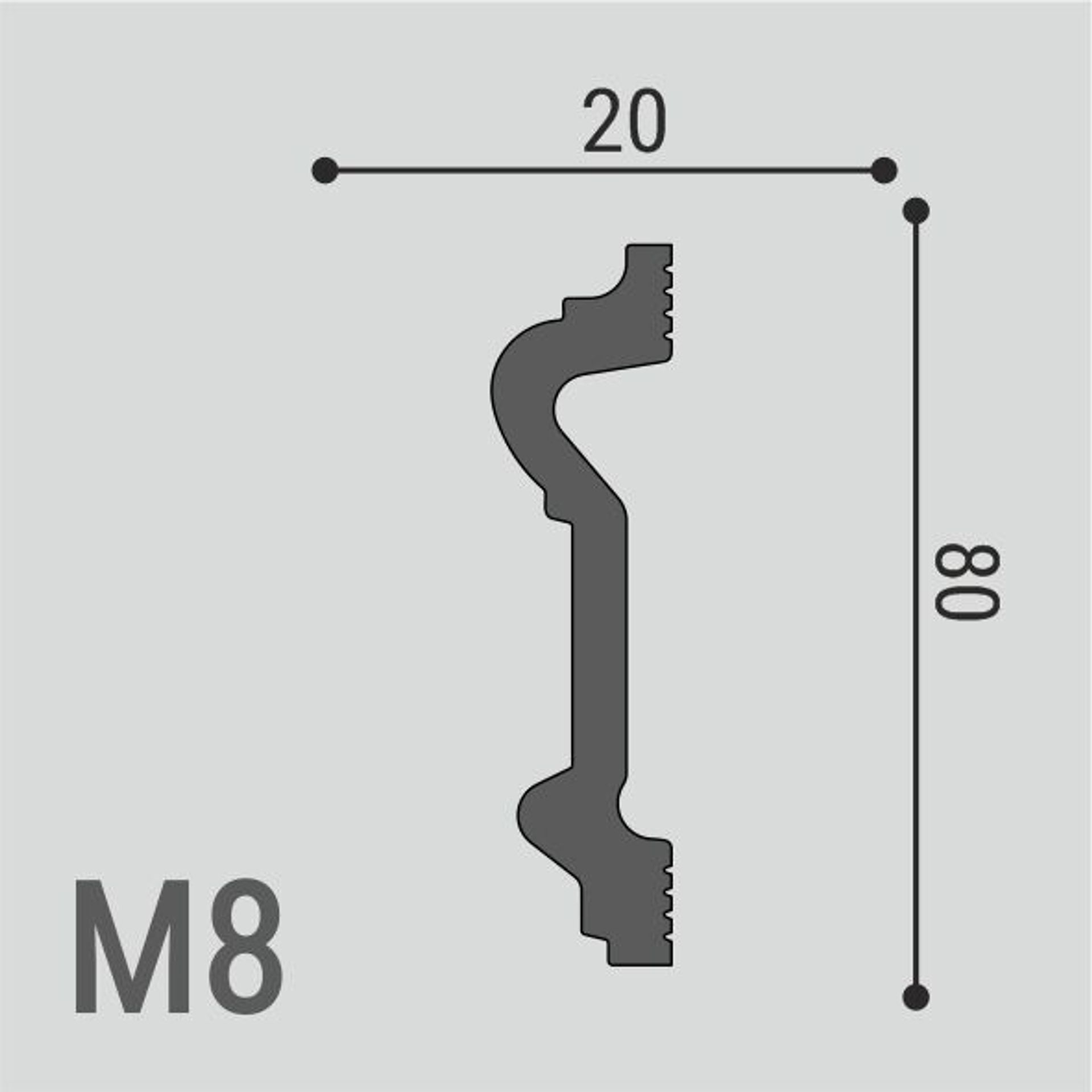 Молдинг XPS POLYMER М 8 80/20