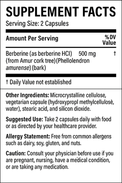 Berberine 120 капсул Biogeek