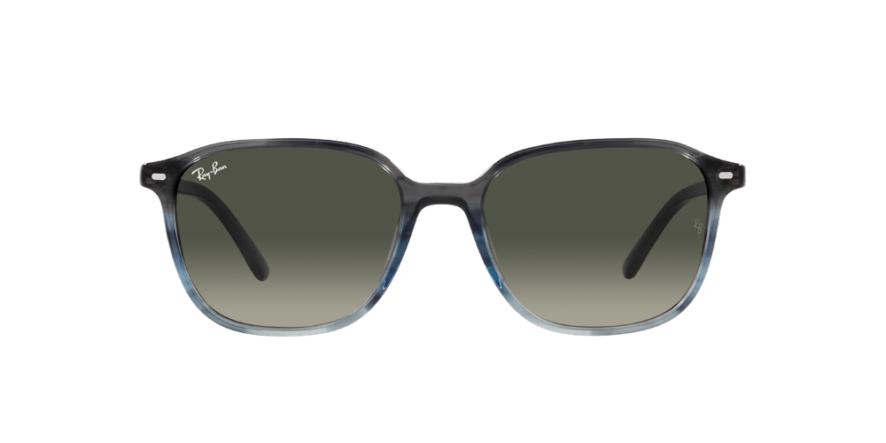 RAY-BAN LEONARD RB2193 138171