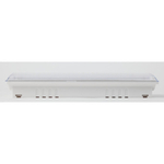 Аварийный светильник DPA-301-1-65 постоянный 40LED 3ч IP65 NiCD ЭРА Б0051843