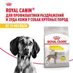 Royal Canin Maxi Dermacomfort Макси Дермакомфорт Корм сухой для взрослых собак крупных размеров при раздражениях и зуде кожи 3кг