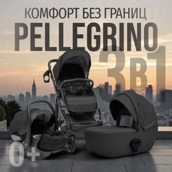 Модульная коляска BubaGO Pellegrino 3в1