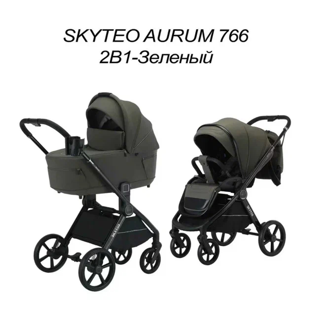 Коляска 2 в 1 SKYTEO AURUM 766
