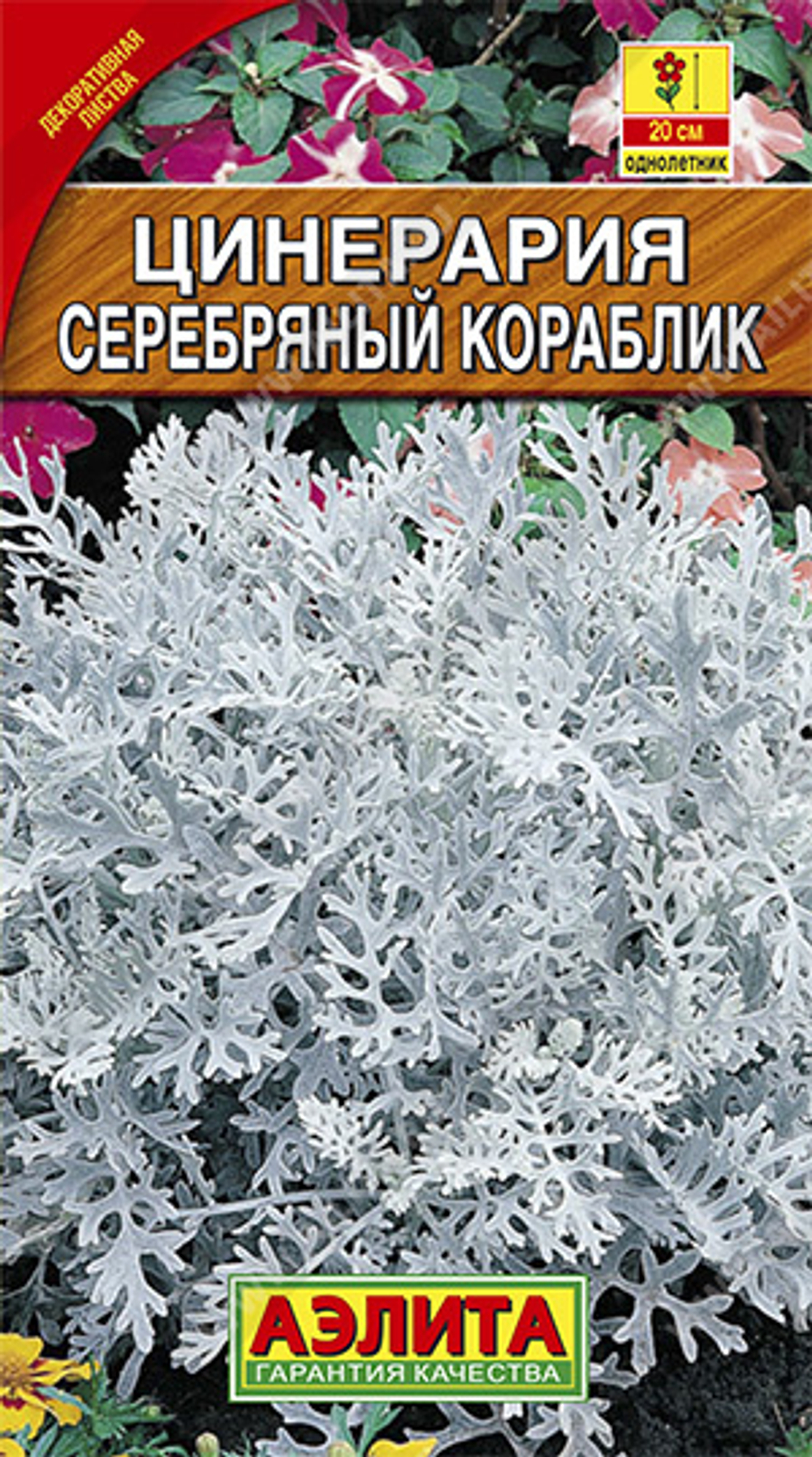 Цинерария Серебрянный кораблик 0,1гр