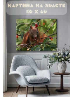 Картина на стену 40 X 50 Белка