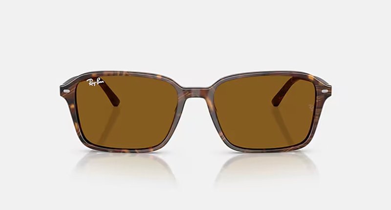 RAY-BAN RAIMOND RB2231 141833
