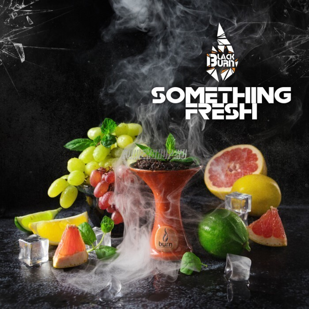 Black Burn - Something Fresh (25г)