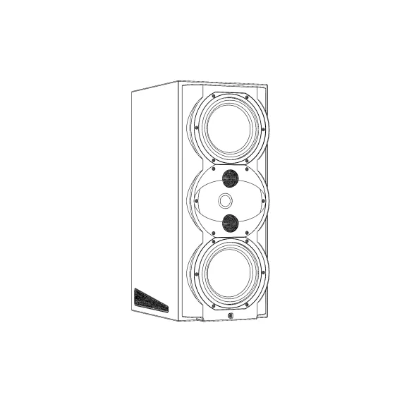 Perlisten Audio R5m Piano Black