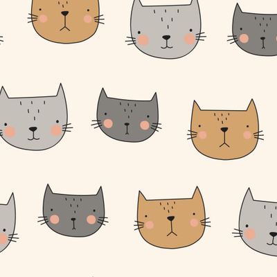 Котики