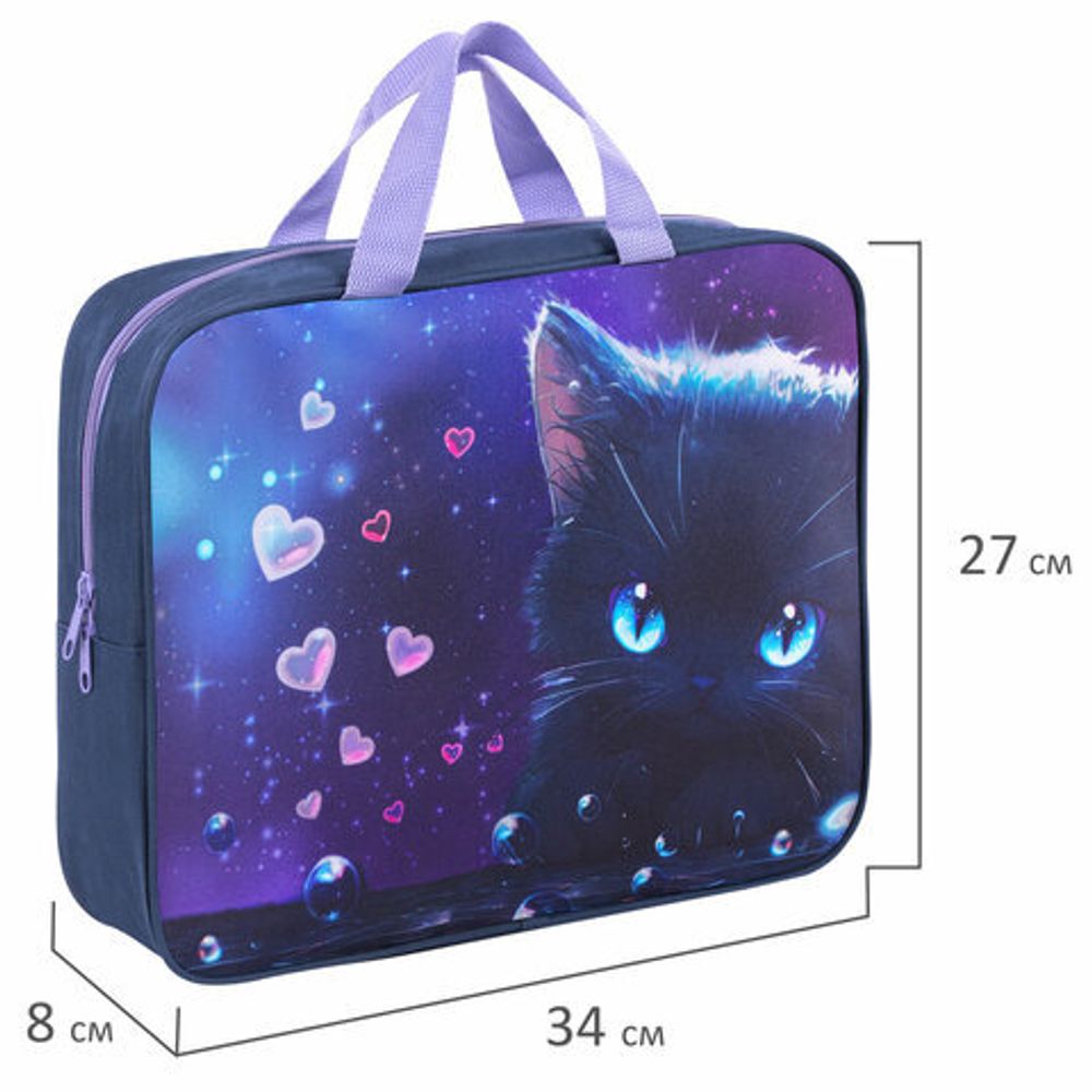 Папка на молнии с ручками BRAUBERG А4, 1 отделение, полиэстер, 80 мм, "Anime cat", 272174