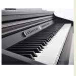 Artesia DP-3+ PVC RSW