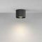 Потолочный светильник Maytoni Technical Ceiling Calipso C106CL-GX53-B