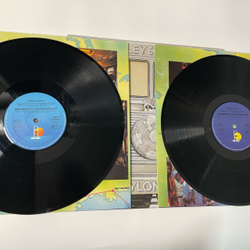Винтажная виниловая пластинка LP Bob Marley and The Wailers, Babylon By Bus (Германия 1978)